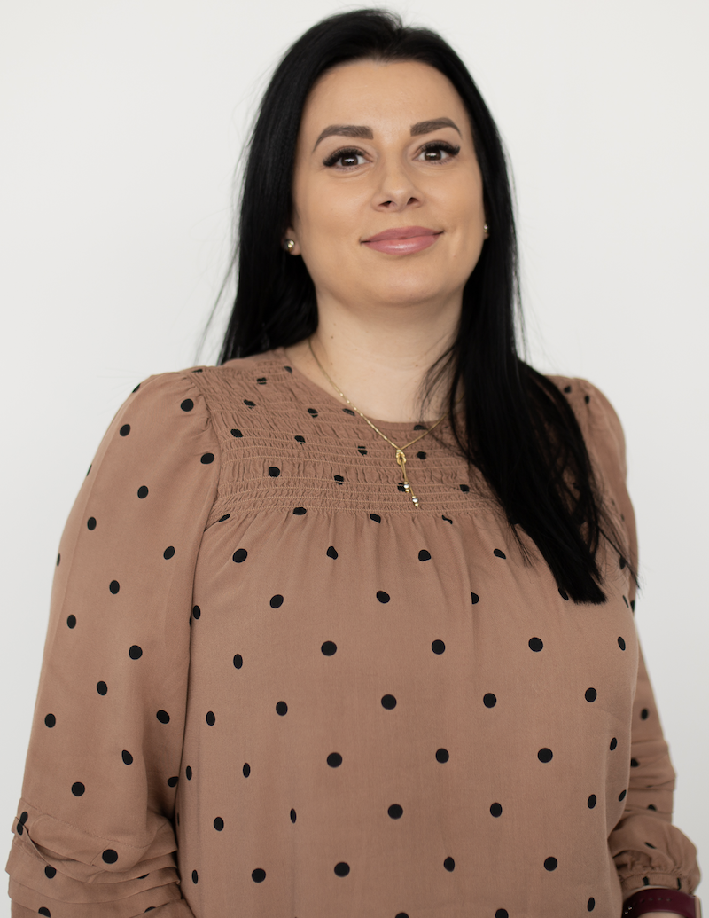 Program devize constructii